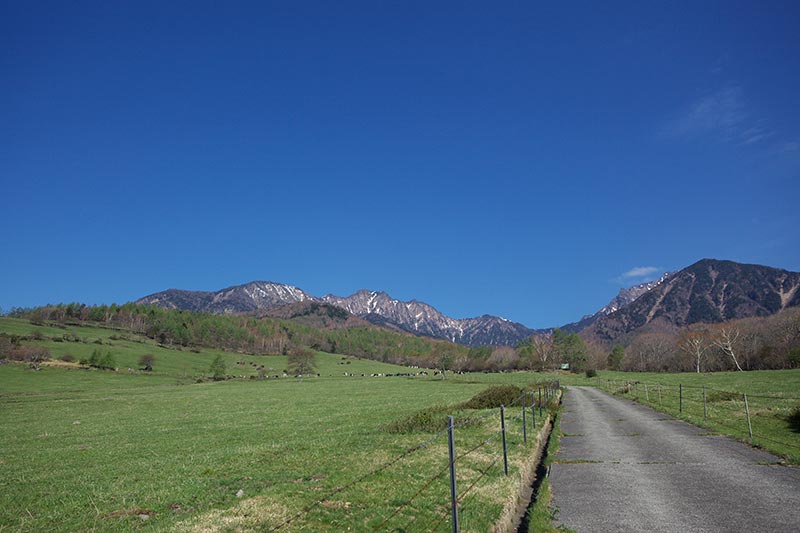 県営八ヶ岳牧場